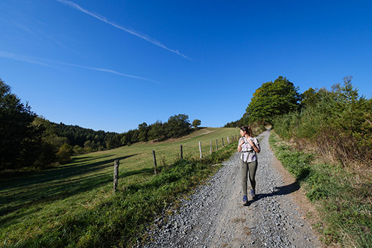 Promenades