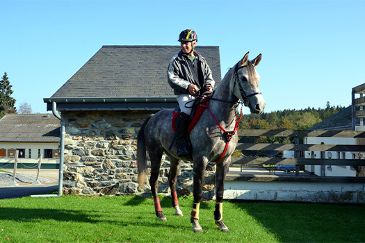 Gîtes équestres