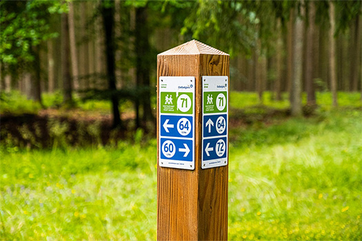Points noeuds