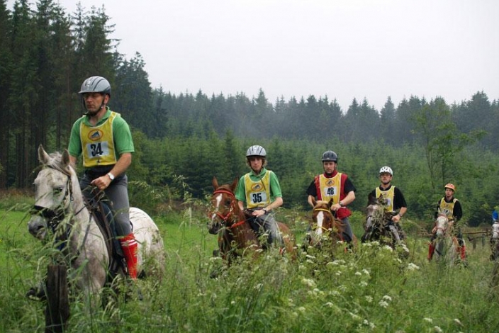 Centre Européen du Cheval