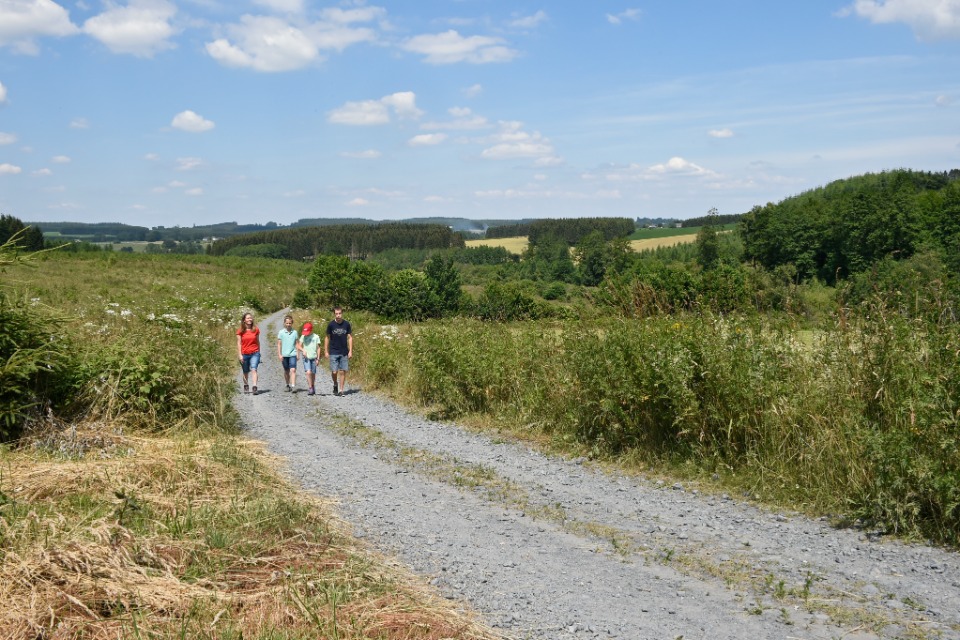 Balade en Haute Ardenne
