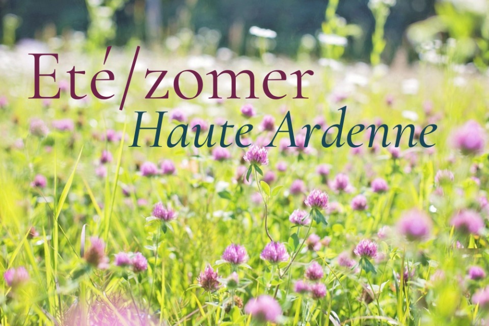 Zomer in 