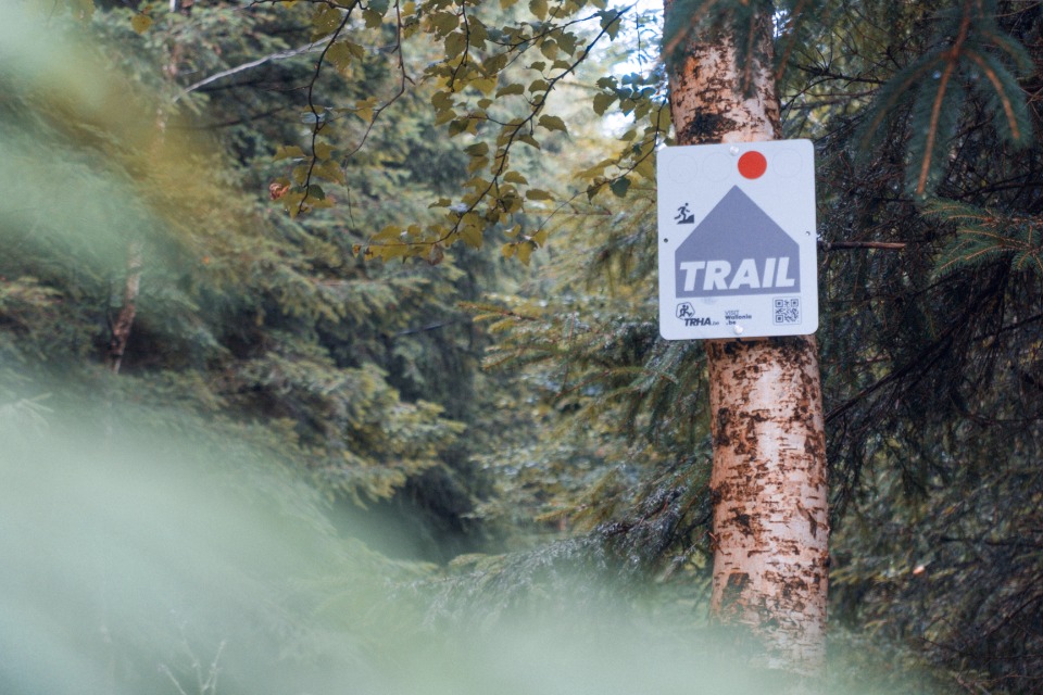 Parcours de trail rando en Haute Ardenne