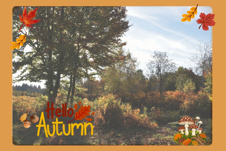 Que faire en Haute Ardenne en automne?