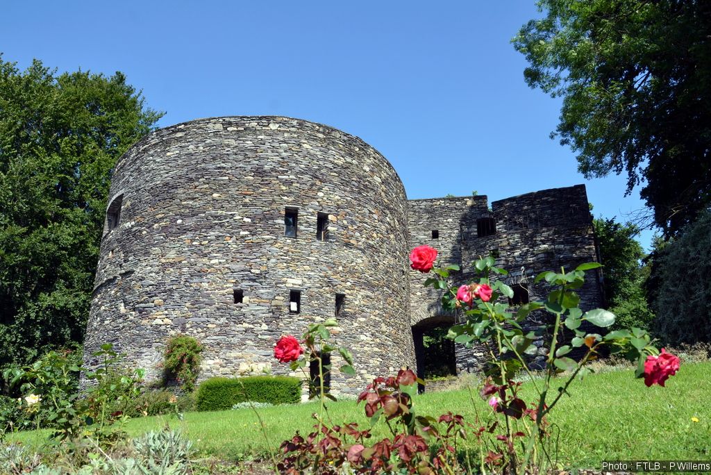 Les tours du château des Comtes de Salm