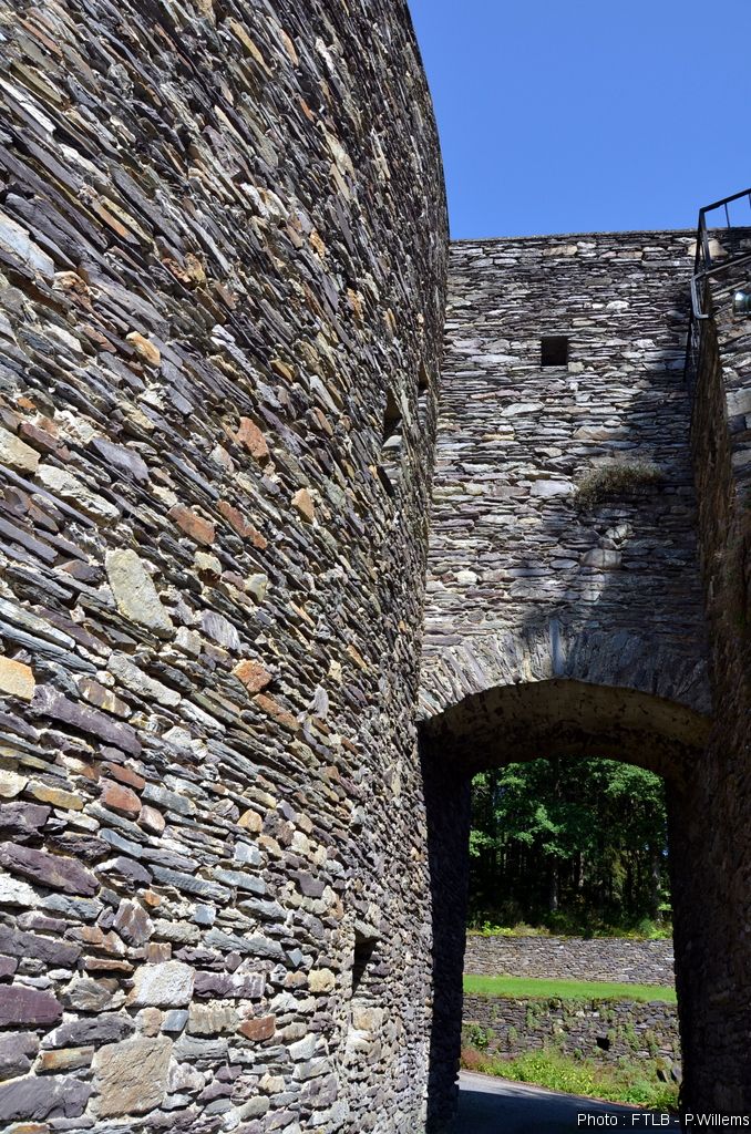 Les tours du château des Comtes de Salm