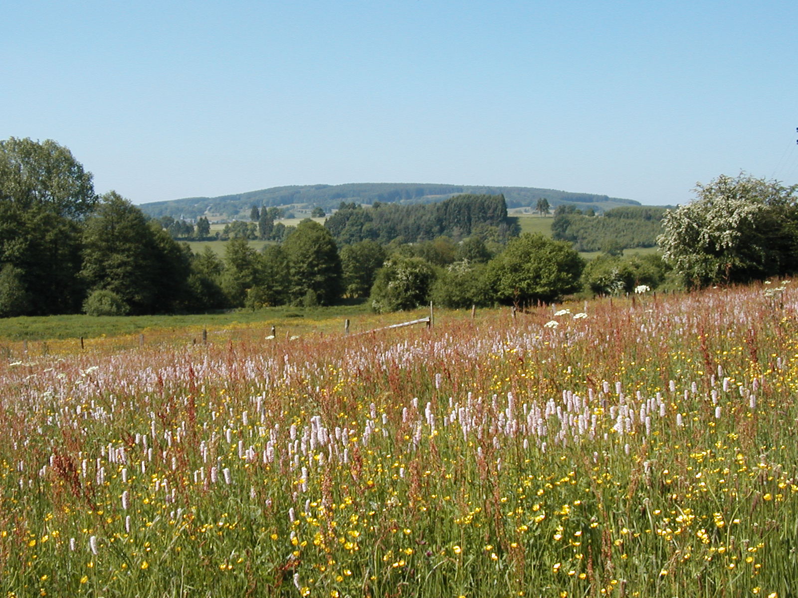 Réserve naturelle des Prés de la Lienne