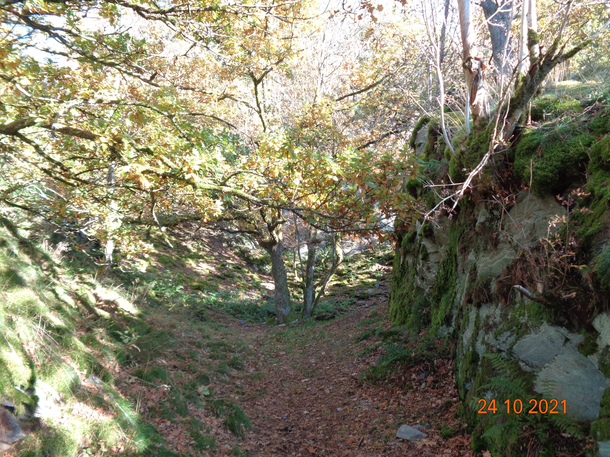 Réserve naturelle de Colanhan