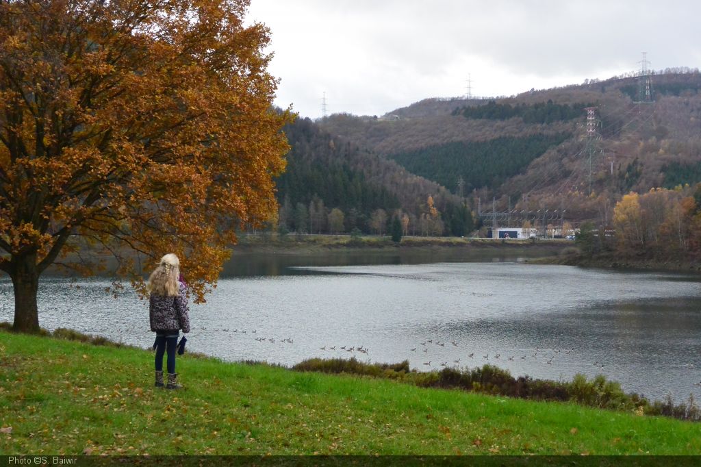 Autour du lac de Coo