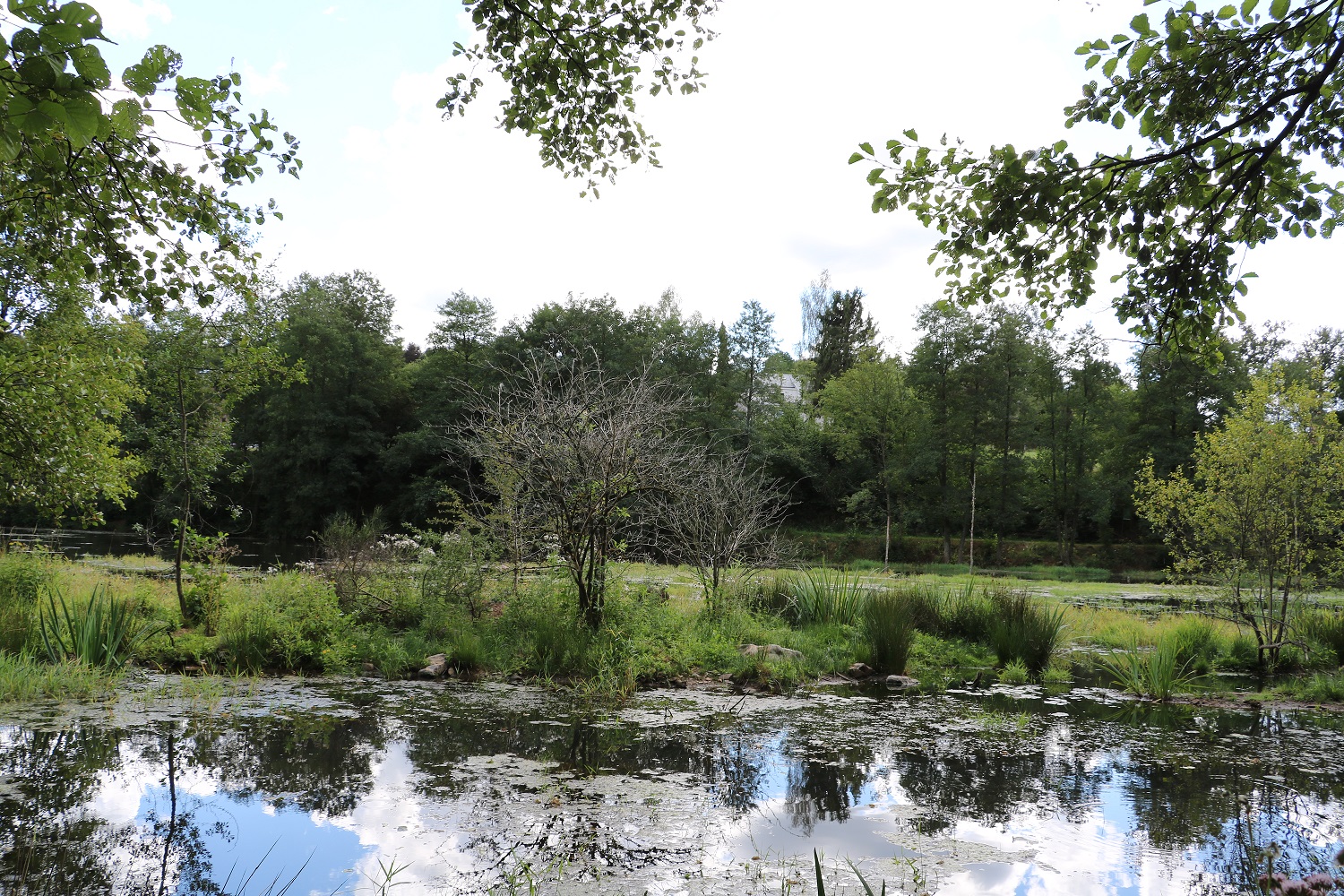Autour de l'étang du Bâleur