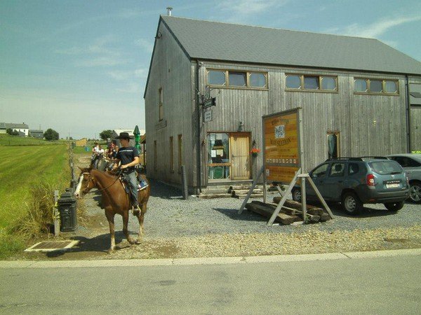 Willow springs way station