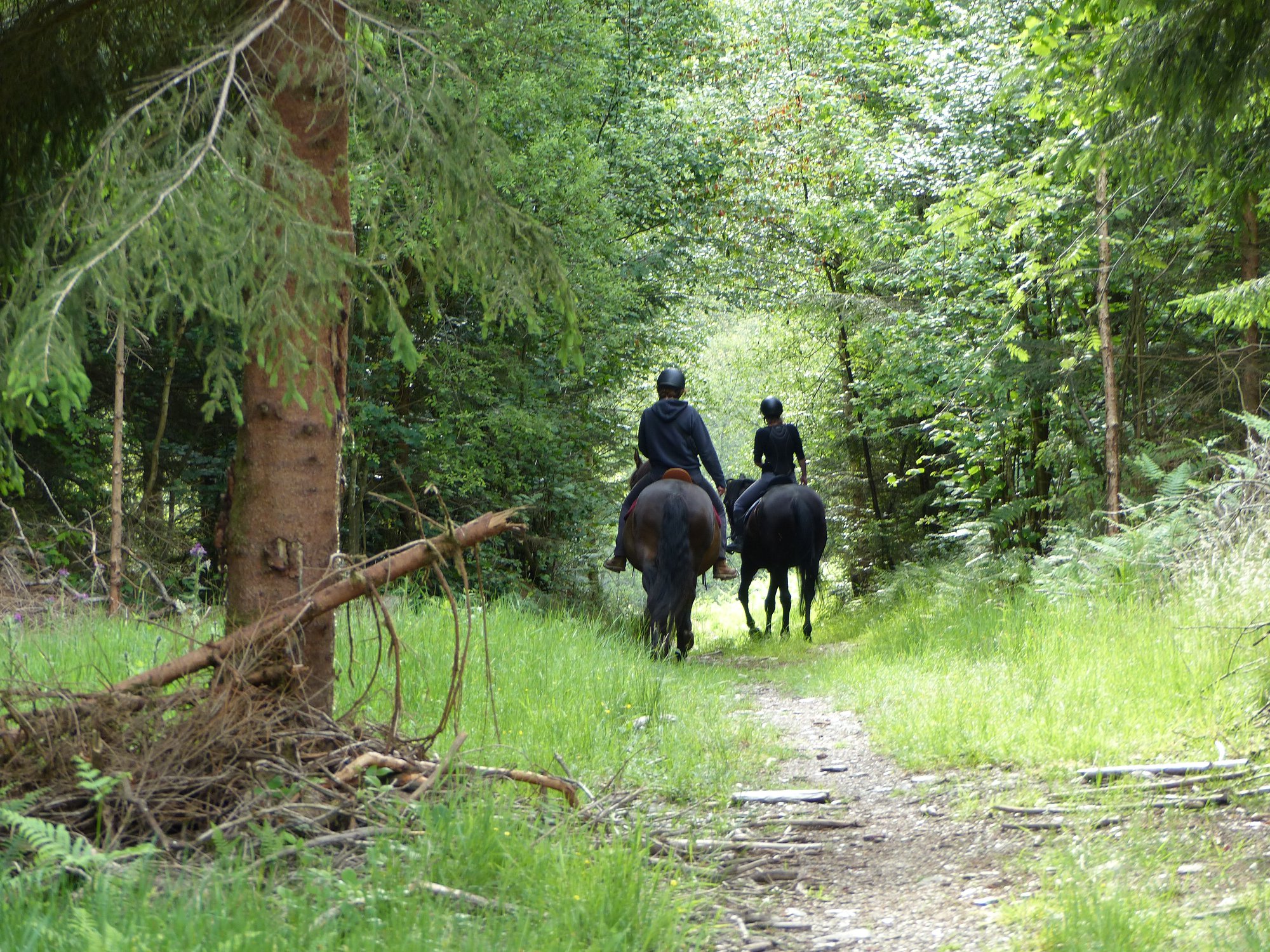 Centre Europeen du Cheval de Mont le Soie