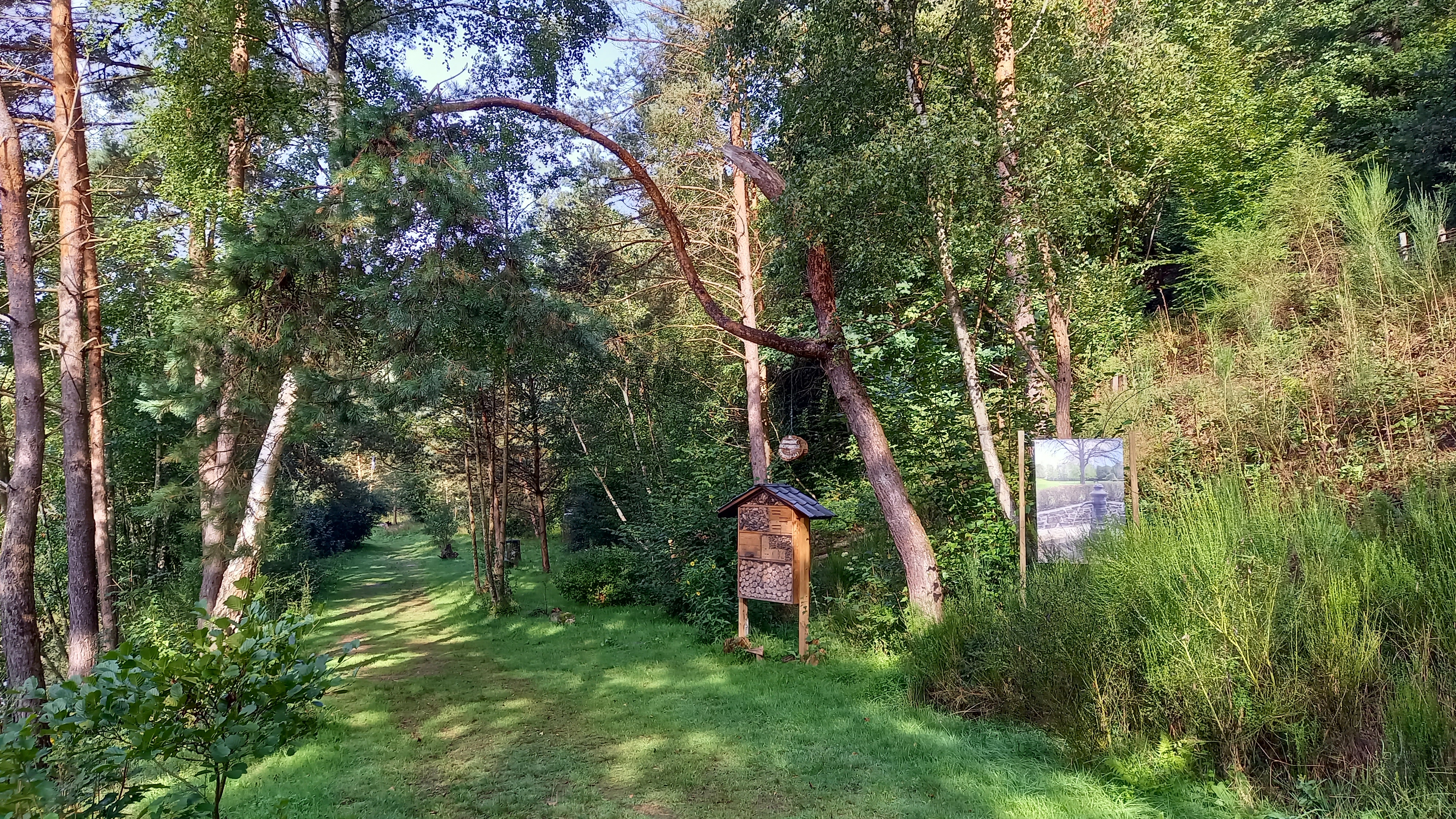 Autour de l'étang du Bâleur