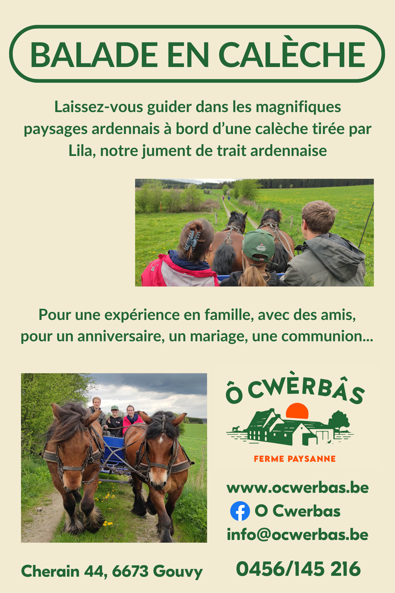 Balade en calèche à Cherain